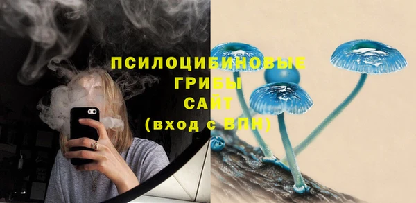 не бодяженный Алзамай