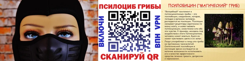 купить   Суровикино  Псилоцибиновые грибы GOLDEN TEACHER 
